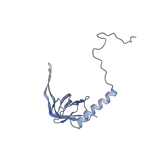 12846_7ods_S_v1-2
State B of the human mitoribosomal large subunit assembly intermediate