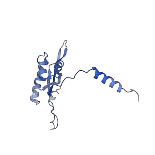 12846_7ods_T_v1-2
State B of the human mitoribosomal large subunit assembly intermediate
