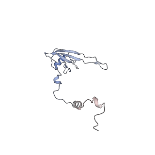 12846_7ods_U_v1-2
State B of the human mitoribosomal large subunit assembly intermediate