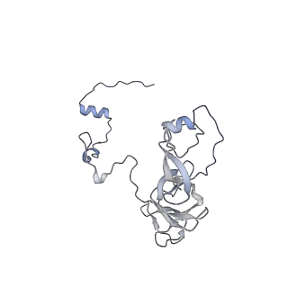 12846_7ods_V_v1-2
State B of the human mitoribosomal large subunit assembly intermediate