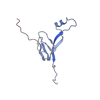 12846_7ods_W_v1-2
State B of the human mitoribosomal large subunit assembly intermediate