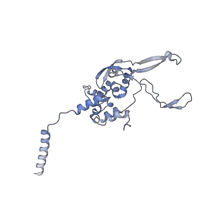 12846_7ods_X_v1-2
State B of the human mitoribosomal large subunit assembly intermediate