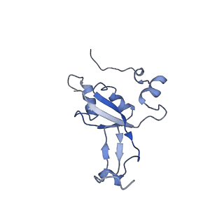 12846_7ods_Z_v1-2
State B of the human mitoribosomal large subunit assembly intermediate