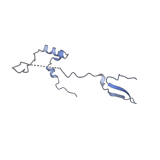 12846_7ods_a_v1-2
State B of the human mitoribosomal large subunit assembly intermediate