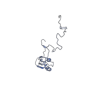12846_7ods_b_v1-2
State B of the human mitoribosomal large subunit assembly intermediate