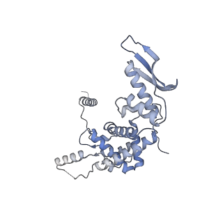 12846_7ods_c_v1-2
State B of the human mitoribosomal large subunit assembly intermediate