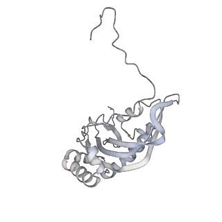 12846_7ods_d_v1-2
State B of the human mitoribosomal large subunit assembly intermediate