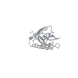 12846_7ods_e_v2-0
State B of the human mitoribosomal large subunit assembly intermediate