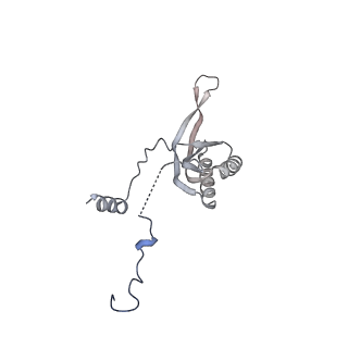 12846_7ods_f_v1-2
State B of the human mitoribosomal large subunit assembly intermediate