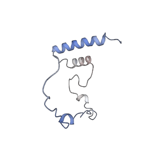 12846_7ods_i_v1-2
State B of the human mitoribosomal large subunit assembly intermediate