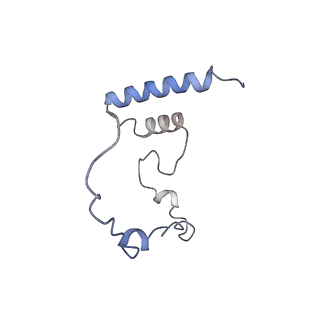 12846_7ods_i_v2-0
State B of the human mitoribosomal large subunit assembly intermediate