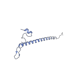 12846_7ods_j_v1-2
State B of the human mitoribosomal large subunit assembly intermediate