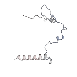 12846_7ods_l_v1-2
State B of the human mitoribosomal large subunit assembly intermediate