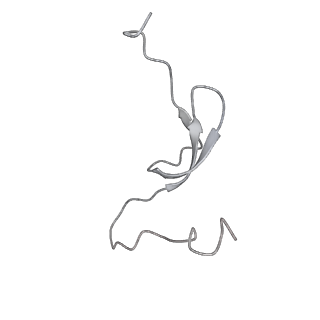 12846_7ods_m_v1-2
State B of the human mitoribosomal large subunit assembly intermediate