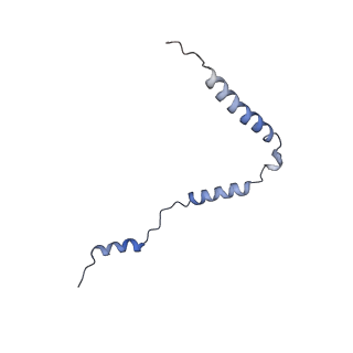 12846_7ods_o_v1-2
State B of the human mitoribosomal large subunit assembly intermediate