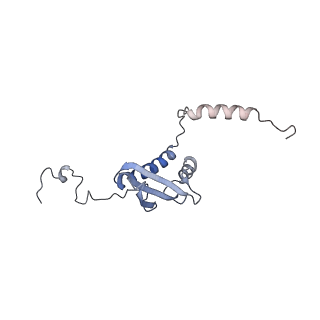 12846_7ods_p_v2-0
State B of the human mitoribosomal large subunit assembly intermediate