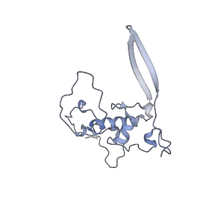 12846_7ods_r_v1-2
State B of the human mitoribosomal large subunit assembly intermediate