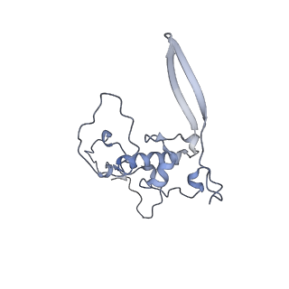 12846_7ods_r_v2-0
State B of the human mitoribosomal large subunit assembly intermediate