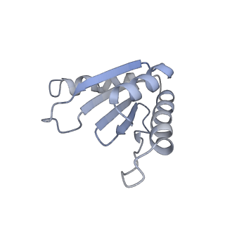 12846_7ods_u_v1-2
State B of the human mitoribosomal large subunit assembly intermediate