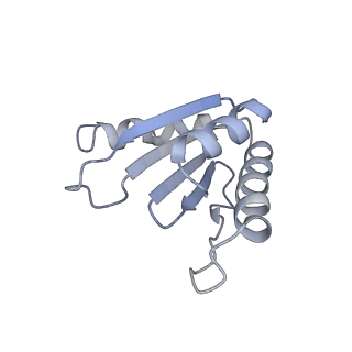 12846_7ods_u_v2-0
State B of the human mitoribosomal large subunit assembly intermediate