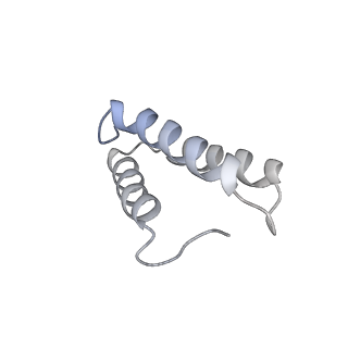 12846_7ods_v_v1-2
State B of the human mitoribosomal large subunit assembly intermediate