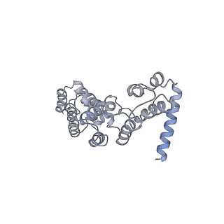 12846_7ods_y_v1-2
State B of the human mitoribosomal large subunit assembly intermediate