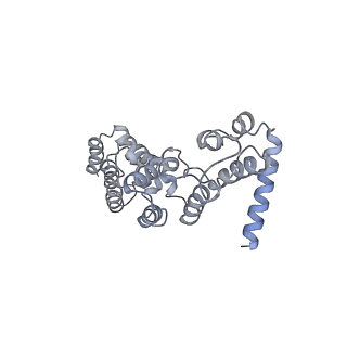 12846_7ods_y_v2-0
State B of the human mitoribosomal large subunit assembly intermediate