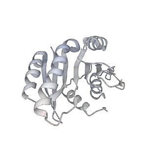 12846_7ods_z_v2-0
State B of the human mitoribosomal large subunit assembly intermediate