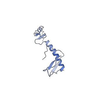 12847_7odt_0_v1-2
State C of the human mitoribosomal large subunit assembly intermediate
