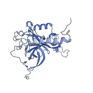 12847_7odt_E_v1-2
State C of the human mitoribosomal large subunit assembly intermediate