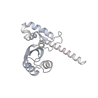 12847_7odt_J_v1-2
State C of the human mitoribosomal large subunit assembly intermediate
