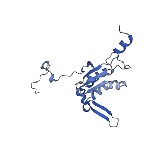 12847_7odt_K_v1-2
State C of the human mitoribosomal large subunit assembly intermediate