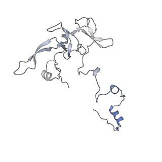 12847_7odt_V_v1-2
State C of the human mitoribosomal large subunit assembly intermediate