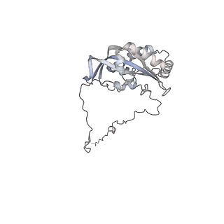 12847_7odt_d_v2-0
State C of the human mitoribosomal large subunit assembly intermediate
