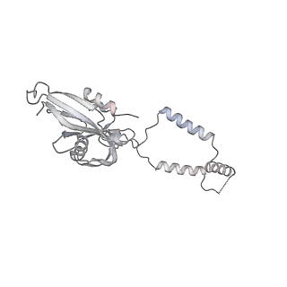 12847_7odt_e_v2-0
State C of the human mitoribosomal large subunit assembly intermediate