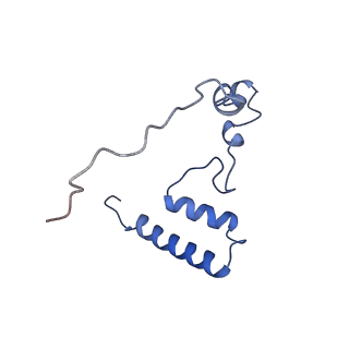 12847_7odt_i_v1-2
State C of the human mitoribosomal large subunit assembly intermediate