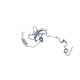 12847_7odt_p_v2-0
State C of the human mitoribosomal large subunit assembly intermediate