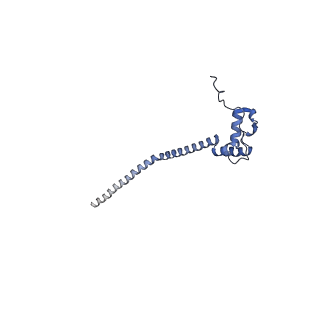 12847_7odt_q_v1-2
State C of the human mitoribosomal large subunit assembly intermediate
