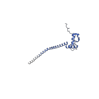 12847_7odt_q_v2-0
State C of the human mitoribosomal large subunit assembly intermediate