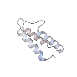 12847_7odt_v_v1-2
State C of the human mitoribosomal large subunit assembly intermediate