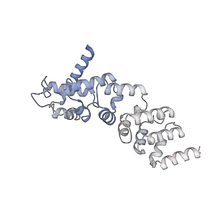 12847_7odt_y_v2-0
State C of the human mitoribosomal large subunit assembly intermediate