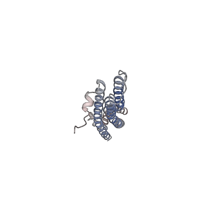 16816_8odt_C_v1-1
Structure of TolQR complex from E.coli