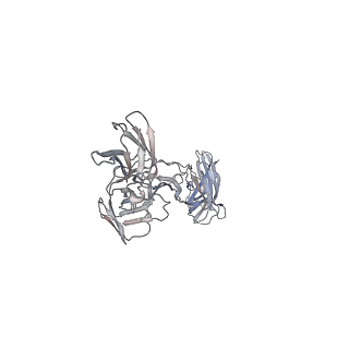 16820_8odz_C_v1-0
Cryo-EM structure of a pre-dimerized murine IL-12 complete extracellular signaling complex (Class 1).