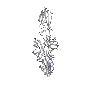 16820_8odz_D_v1-0
Cryo-EM structure of a pre-dimerized murine IL-12 complete extracellular signaling complex (Class 1).