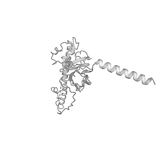 20021_6odj_B_v1-3
PolyAla Model of the PRC from the Type 4 Secretion System of H. pylori