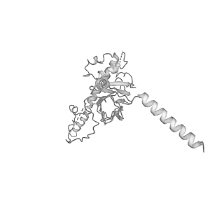 20021_6odj_C_v1-3
PolyAla Model of the PRC from the Type 4 Secretion System of H. pylori