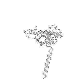 20021_6odj_F_v1-3
PolyAla Model of the PRC from the Type 4 Secretion System of H. pylori