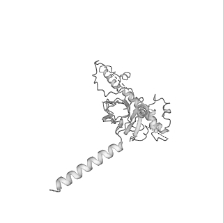 20021_6odj_H_v1-3
PolyAla Model of the PRC from the Type 4 Secretion System of H. pylori