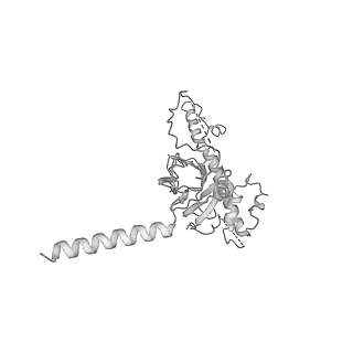 20021_6odj_I_v1-3
PolyAla Model of the PRC from the Type 4 Secretion System of H. pylori