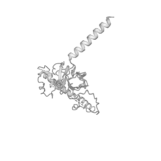 20021_6odj_J_v1-3
PolyAla Model of the PRC from the Type 4 Secretion System of H. pylori